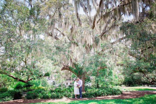 Engagement photography session in Orlando Fl at the Harry P. Leu Gardens